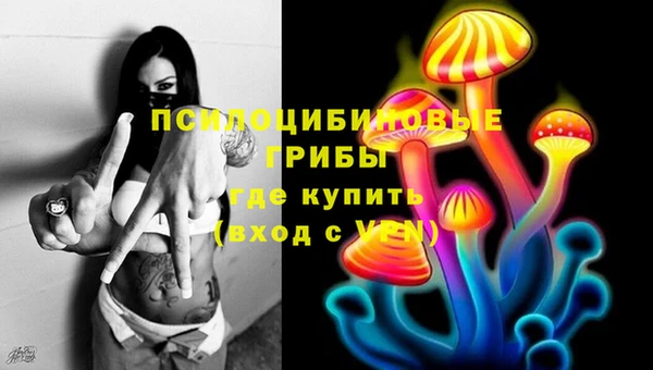 ГАЛЛЮЦИНОГЕННЫЕ ГРИБЫ Вязьма