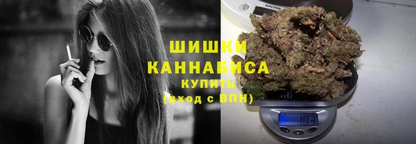 spice Вяземский