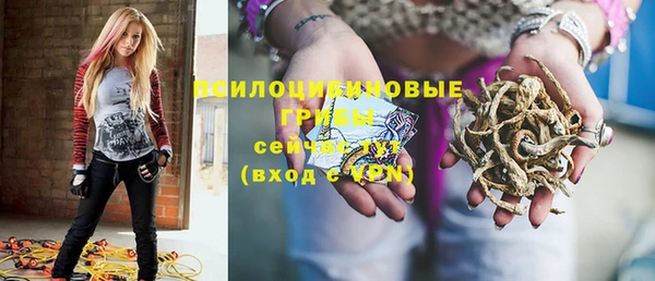 ГАЛЛЮЦИНОГЕННЫЕ ГРИБЫ Вязьма