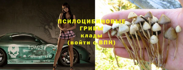 ГАЛЛЮЦИНОГЕННЫЕ ГРИБЫ Вязьма