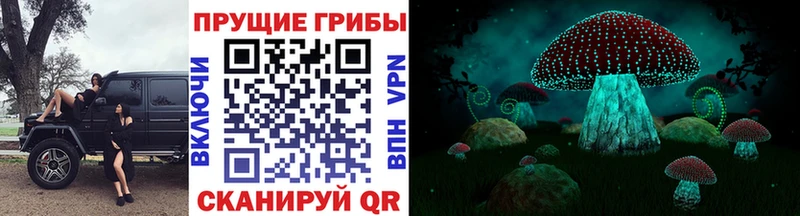 Псилоцибиновые грибы Psilocybine cubensis Иркутск