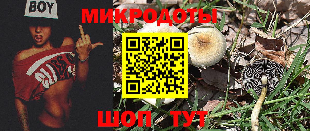 Псилоцибиновые грибы мухоморы Иркутск