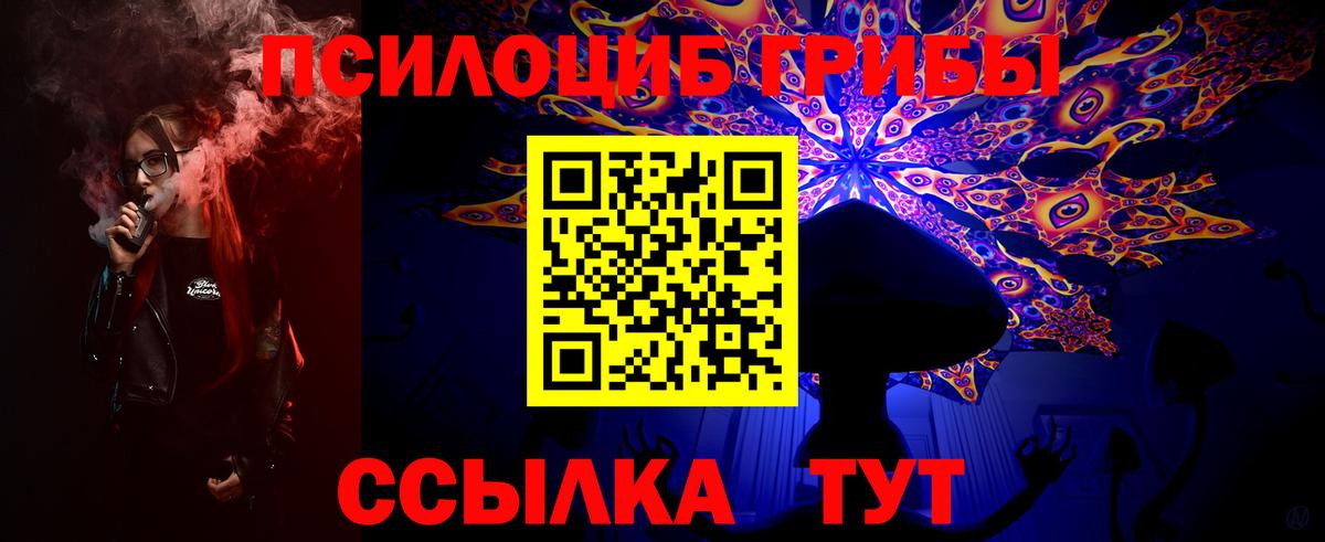 где найти наркотики  Вход с VPN  Галлюциногенные грибы мицелий  Иркутск  Псилоцибиновые грибы мухоморы 